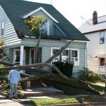 fallen tree damage house roofing